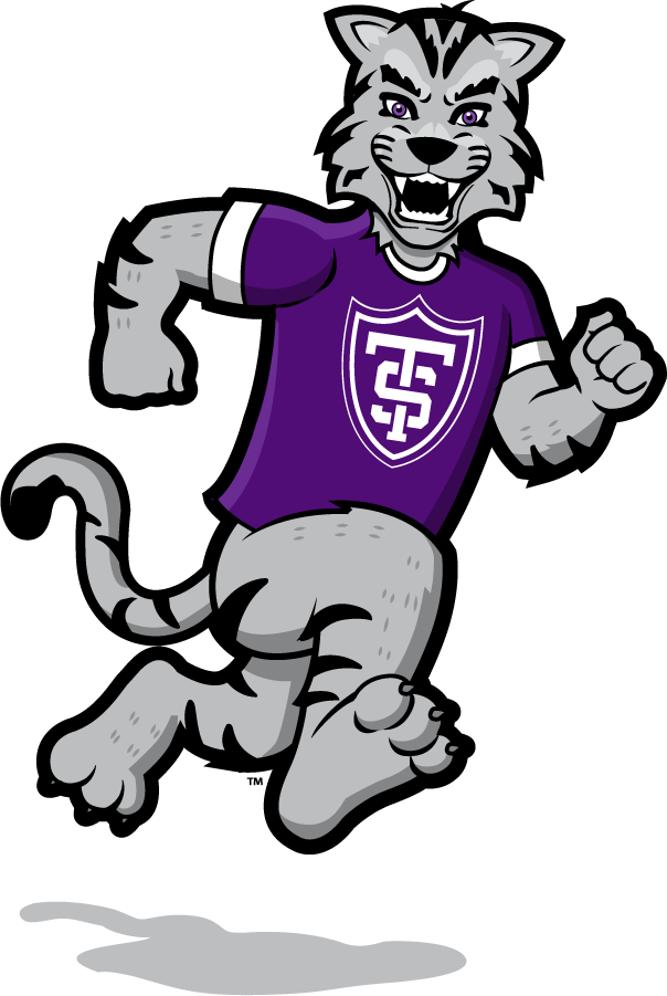 St. Thomas Tommies 2021-Pres Mascot Logo v5 iron on transfers for clothing